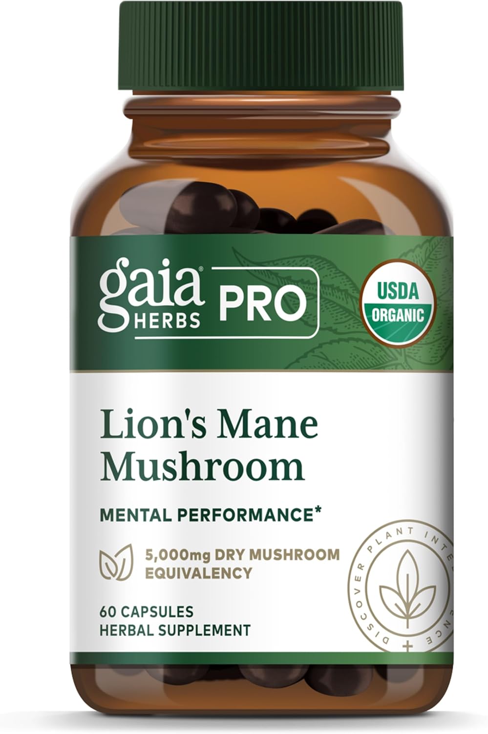 Lion's Mane Fruiting Body Extract — 60 Capsules